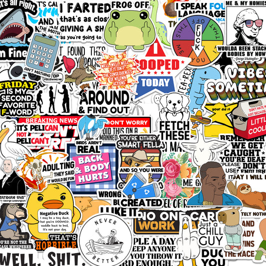 NEW 100pcs Sarcastic Stickers For Adults, Funny Sarcastic Pack for laptop water bottles , vinyl  waterproof